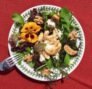 ensalada cesar low carb