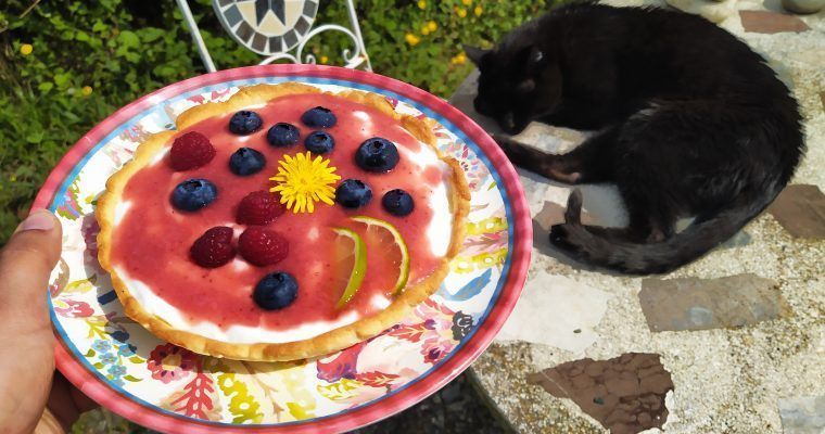 tartaleta de yogur con frutas del bosque low carb sin gluten sin azucar