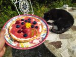 tartaleta de yogur con frutas del bosque low carb sin gluten sin azucar