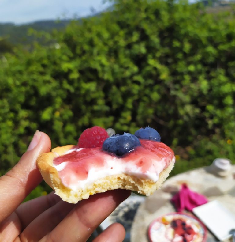 tartaleta de yogur con frutas del bosque low carb sin gluten sin azucar