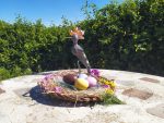 huevos de pascua de colores sin colorantes abubilla