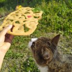 bretzel paleo keto low carb sin gluten