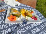 aguacate relleno de huevo paleo keto desayuno