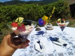 tiamisu de frutas del bosque keto sin azucar sin gluten
