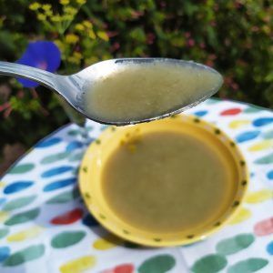 crema de hinojo paleo keto low carb