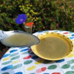 crema de hinojo paleo keto low carb