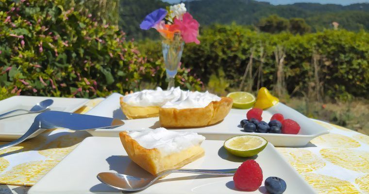 tarta de limon con lemon curd paleo sin azucar sin lacteos keto low carb