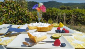 tarta de limon con lemon curd paleo sin azucar sin lacteos keto low carb