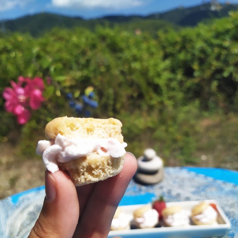 lionesas keto sin azucar sin gluten low carb de nata fresa