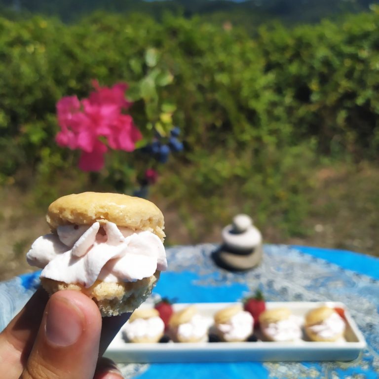 lionesas keto sin azucar sin gluten low carb de nata fresa