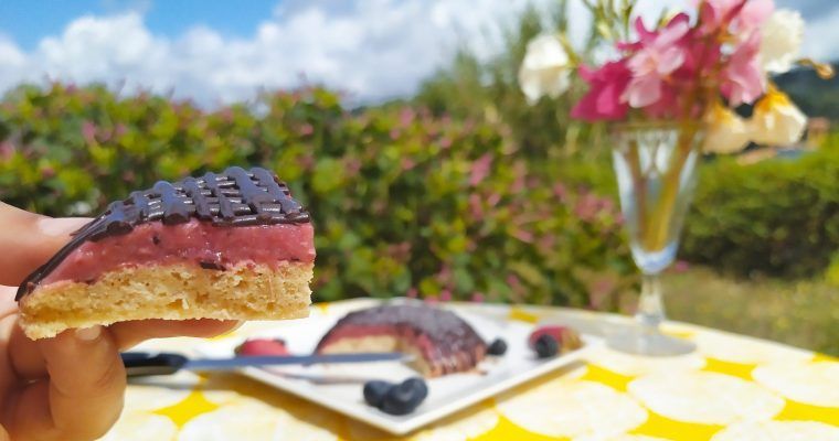 bizcocho sin gluten paleo low carb sin azucar con gelatina de fresa y chocolate casi galleta pims