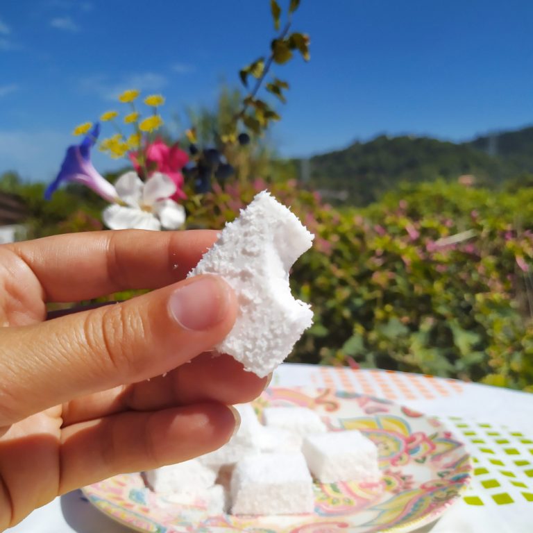 nubecillas de coco paleo keto sin azucar low carb