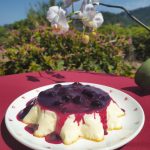 flan keto de vainilla con arandanos