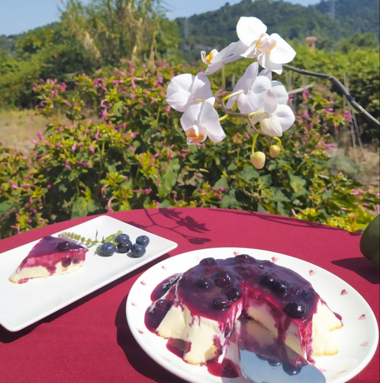 flan keto de vainilla con arandanos