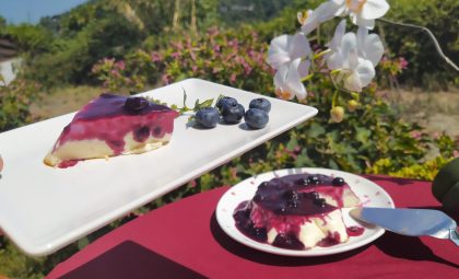 flan keto de vainilla con arandanos
