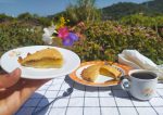 tarta de manzana paleo keto low carb sin gluten sin azúcar sin lacteos
