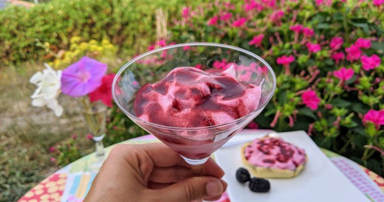 mousse de moras paleo keto low carb sin gluten sin lacteos sin azucar