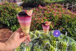 chupito arcoiris panna cotta de coco de colores sin colorantes paleo keto sin azucar sin lacteos low carb