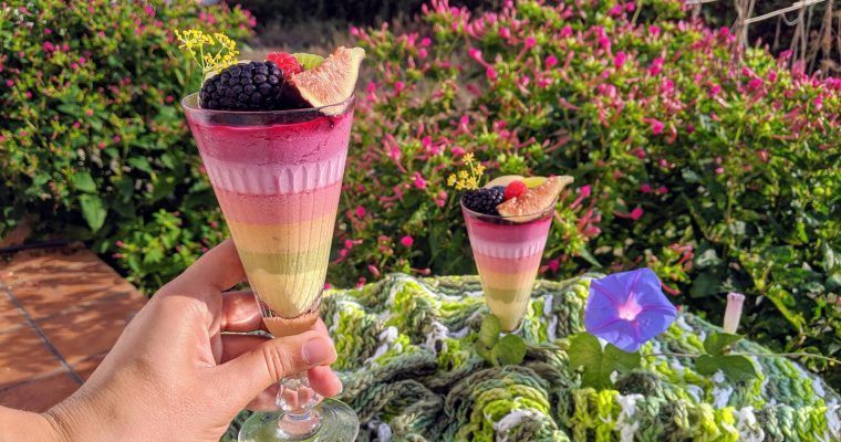 chupito arcoiris panna cotta de coco de colores sin colorantes paleo keto sin azucar sin lacteos low carb