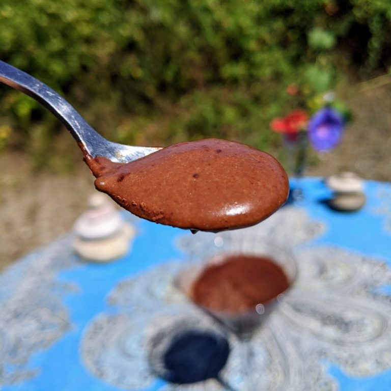 natillas de chocolate sin azucar keto low carb