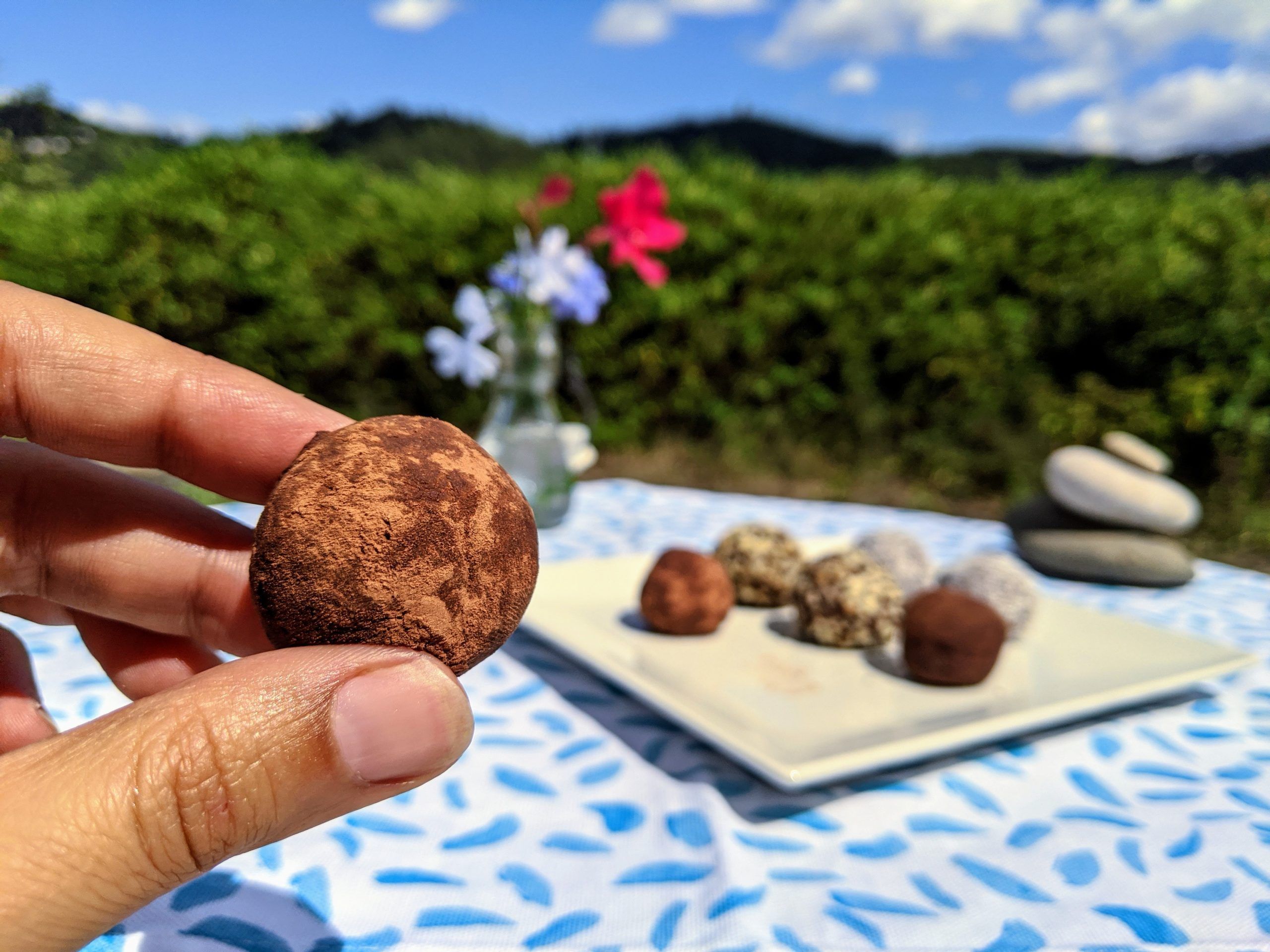 trufas paleo keto low carb sin lacteos sin azucar de aguacate con cacao