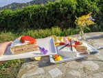 pastel vainilla keto low carb sin gluten sin azucar chantilly fresas