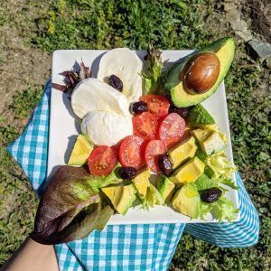 caprese mozzarella tomate olivas aguacate