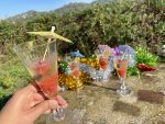 keto coctel de cava champagne sin azucar epopeya low carb navidades en ketolandia