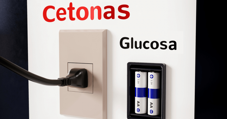 ketofilia semanal